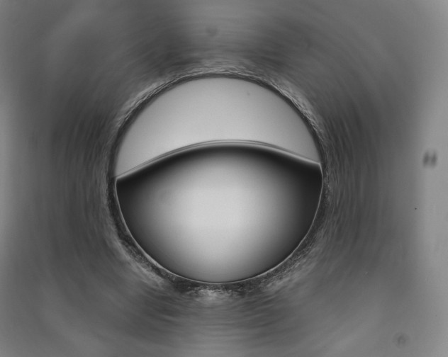 X0000091500442200708161237