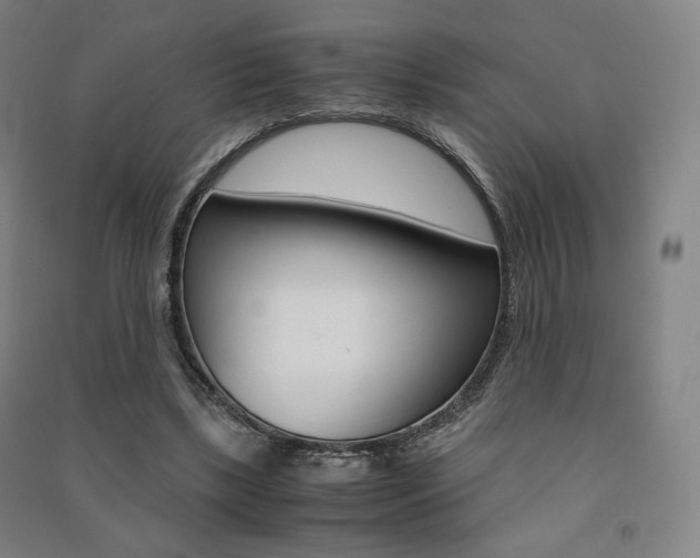 X0000091500443200708161237
