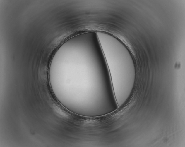 X0000091500445200708161237