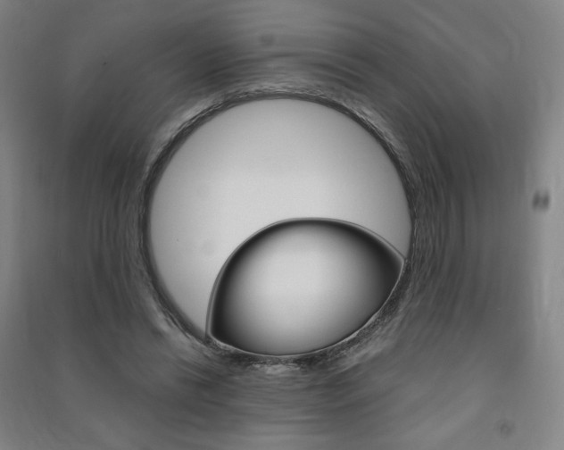 X0000091500446200708161237