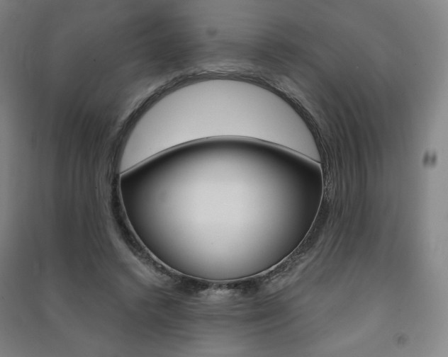 X0000091500448200708161237