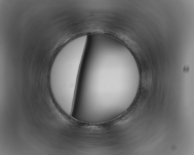 X0000091500449200708161237