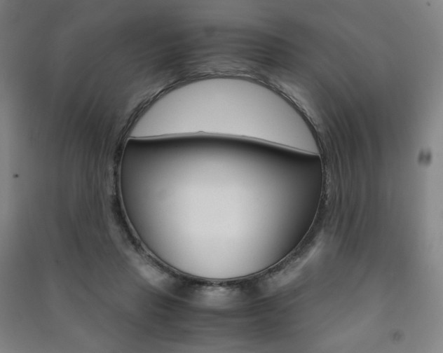 X0000091500453200708161237
