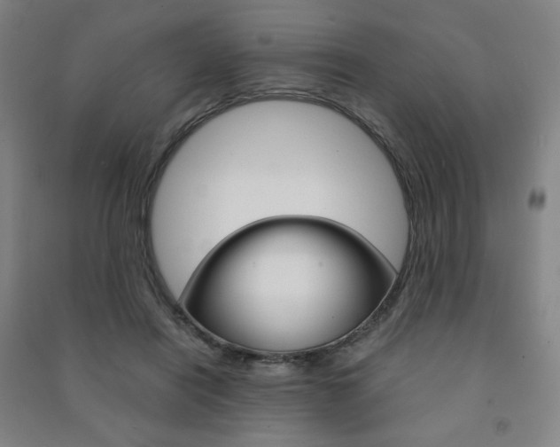 X0000091500454200708161237