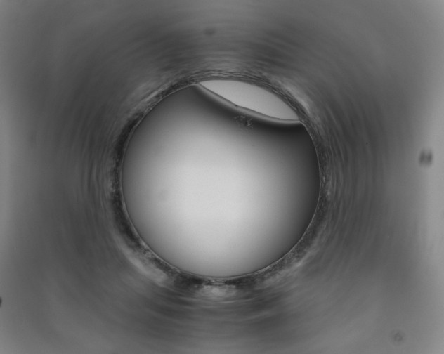 X0000091500455200708161237