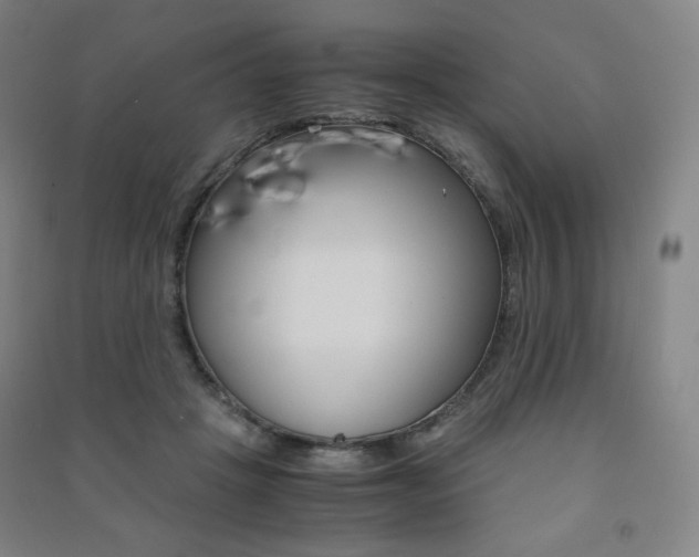 X0000091500457200708161237