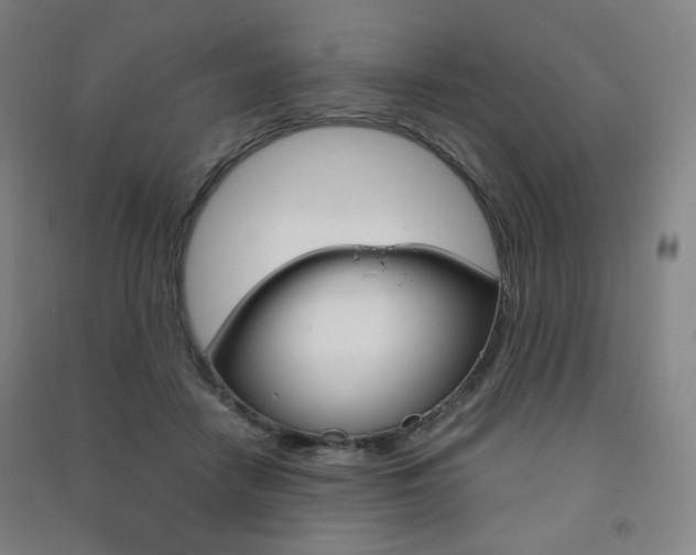 X0000091500458200708161237