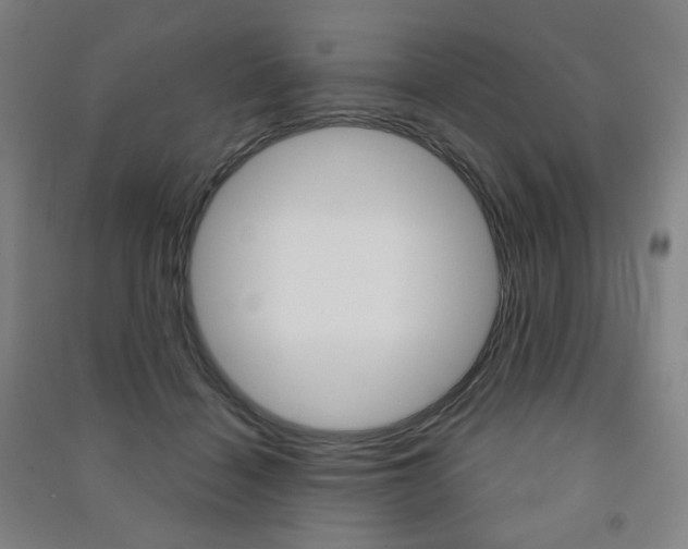X0000091500460200708161237