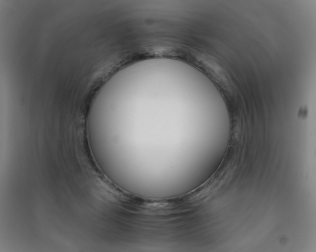 X0000091500461200708161237