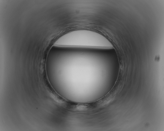 X0000091500462200708161237