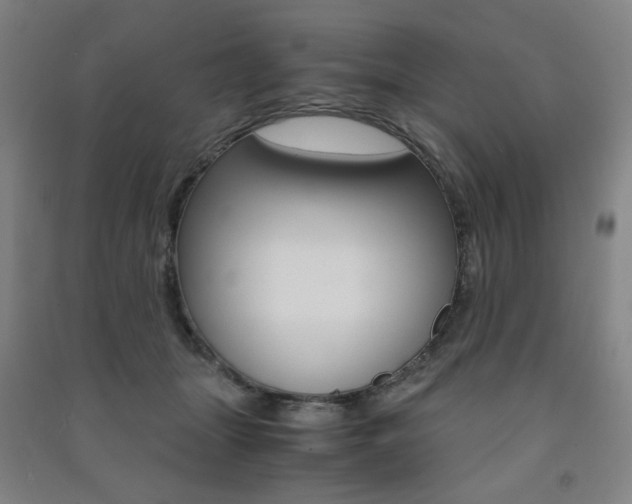 X0000091500463200708161237