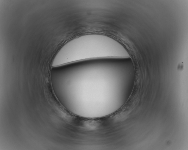 X0000091500465200708161237