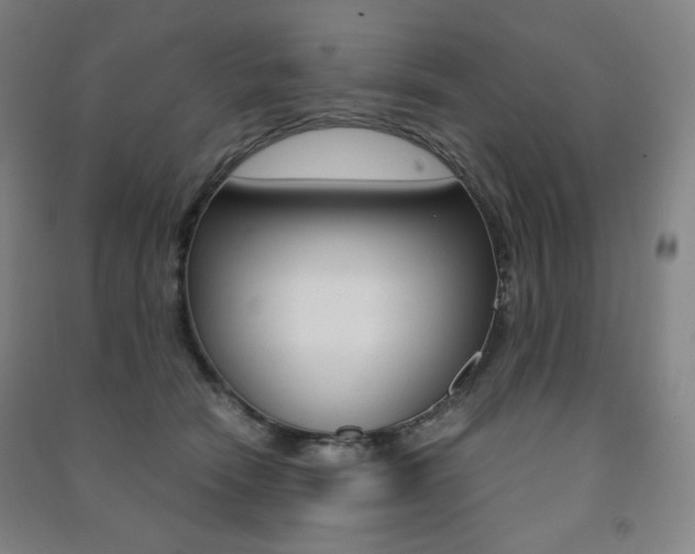 X0000091500466200708161238