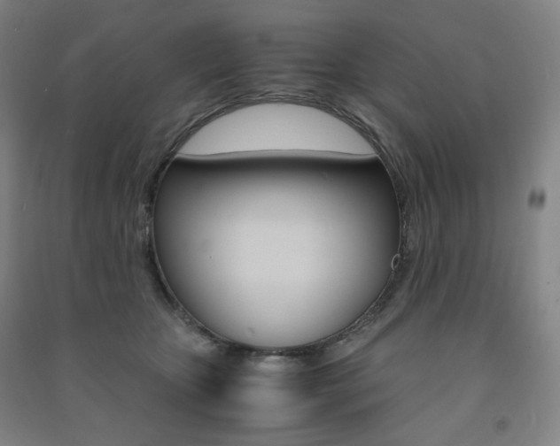 X0000091500467200708161238