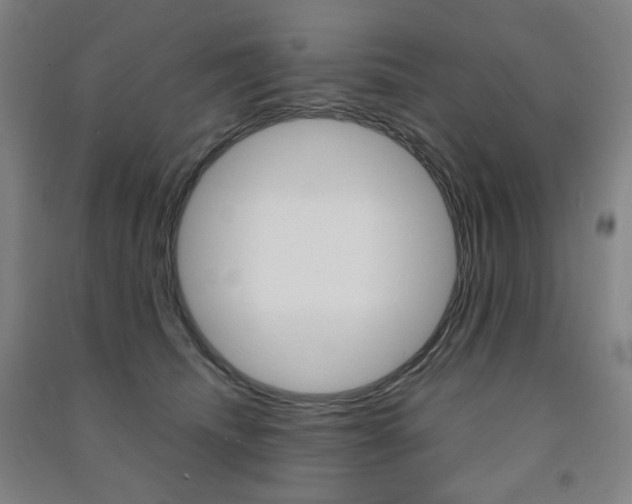 X0000091500468200708161238