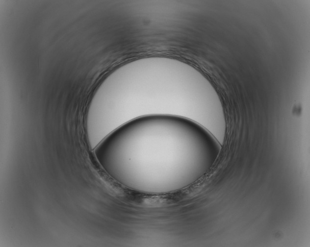 X0000091500470200708161238