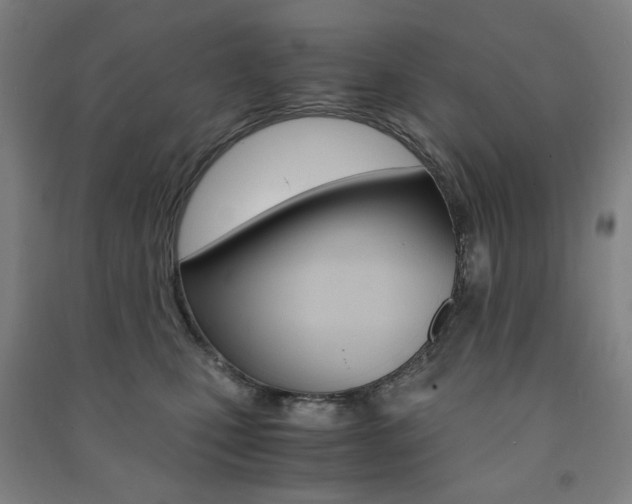 X0000091500471200708161238