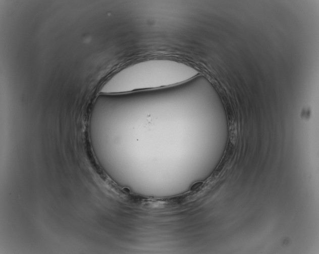 X0000091500472200708161238