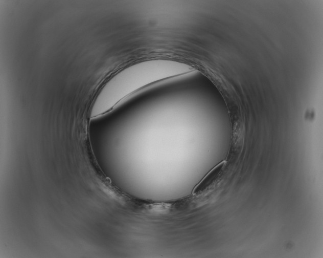 X0000091500474200708161238