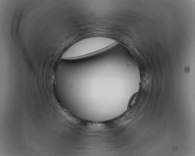X0000091500476200708161238