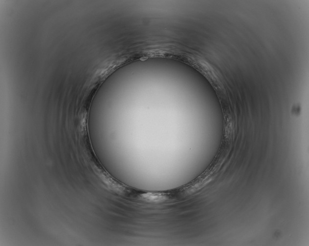 X0000091500477200708161238