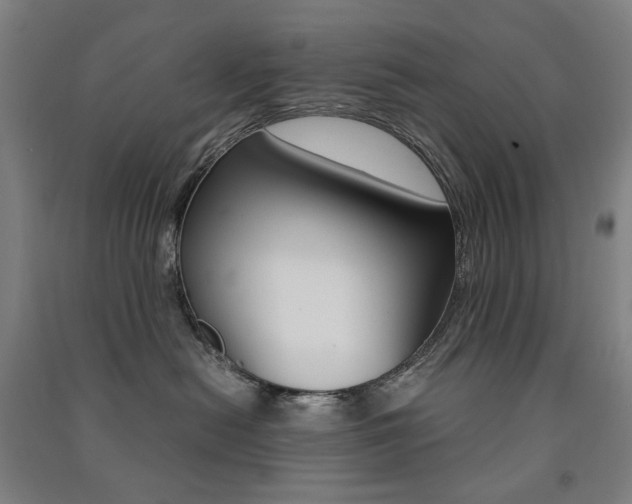 X0000091500478200708161238