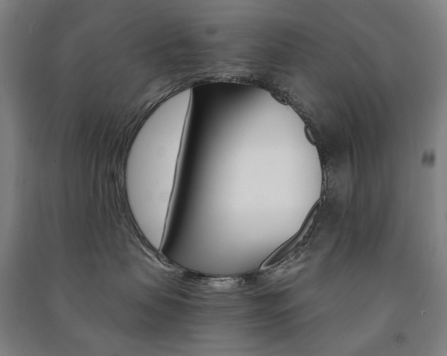 X0000091500479200708161238