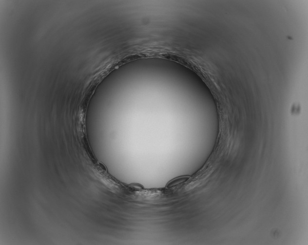X0000091500480200708161238