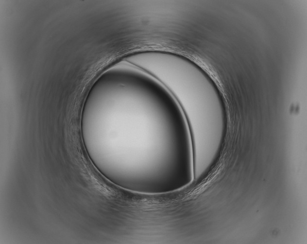 X0000091500481200708161237