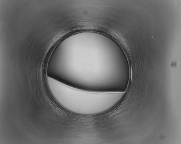 X0000091500483200708161237
