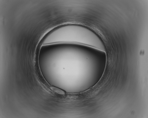 X0000091500484200708161237