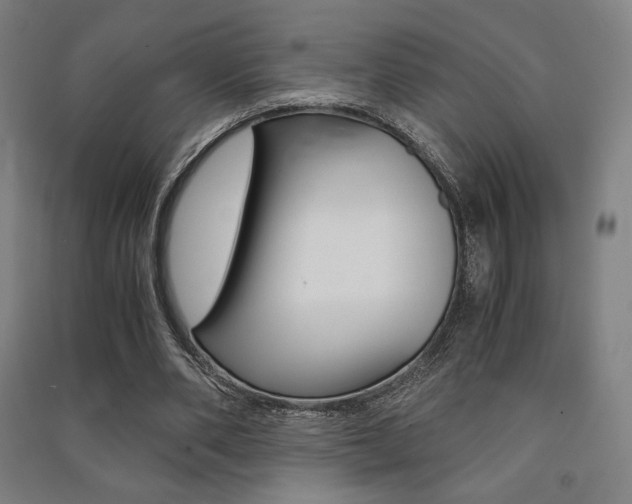 X0000091500486200708161237