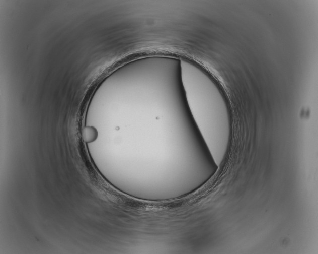 X0000091500487200708161237