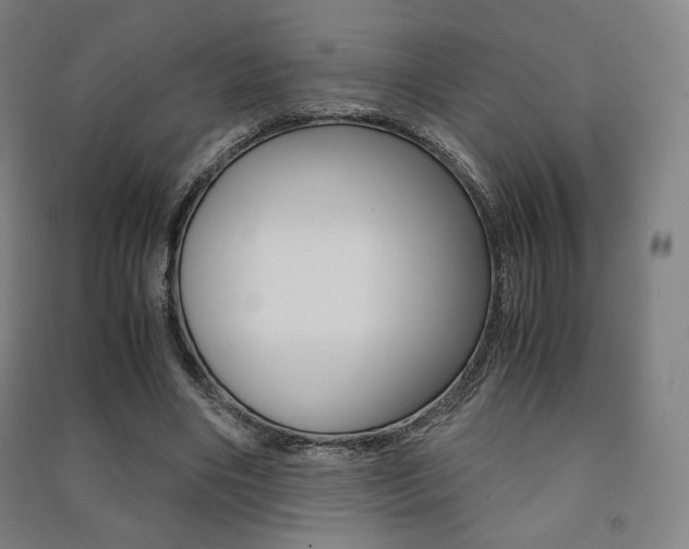 X0000091500490200708161237