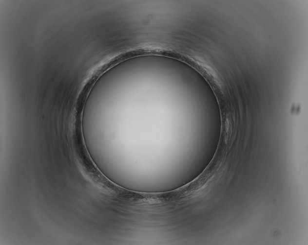 X0000091500492200708161237