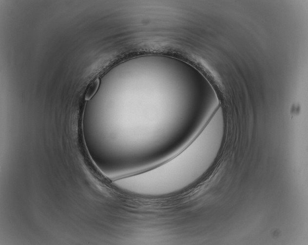 X0000091500493200708161237