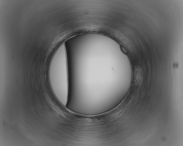 X0000091500494200708161237