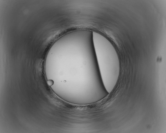 X0000091500495200708161237
