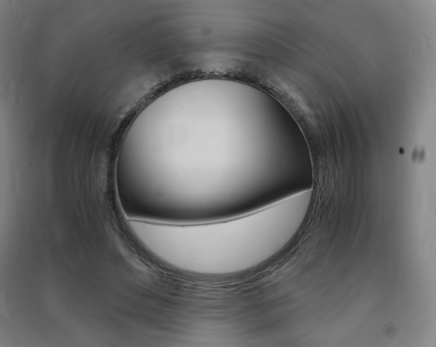 X0000091500496200708161237