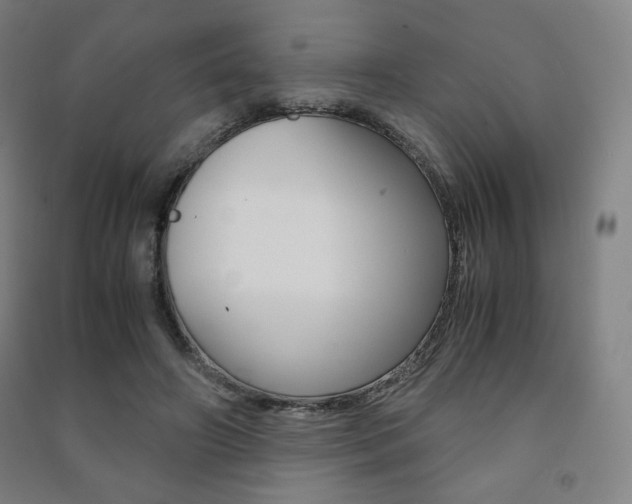X0000091500498200708161237