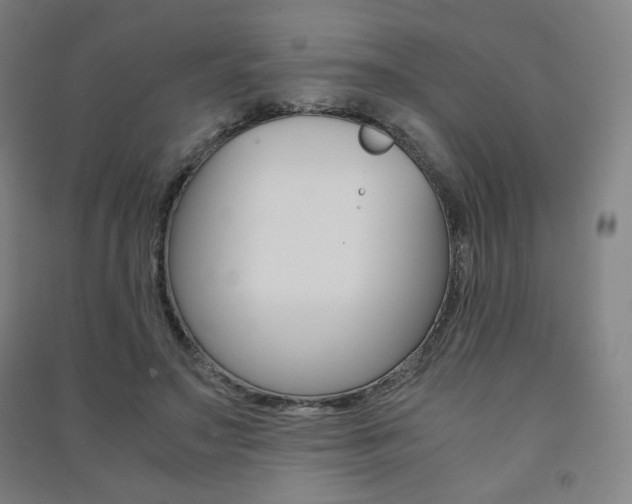X0000091500499200708161237