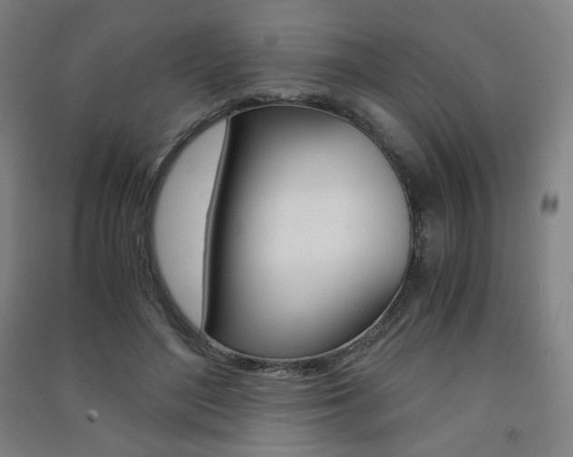 X0000091500500200708161237