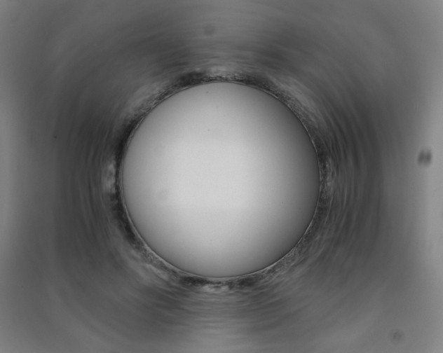 X0000091500502200708161237