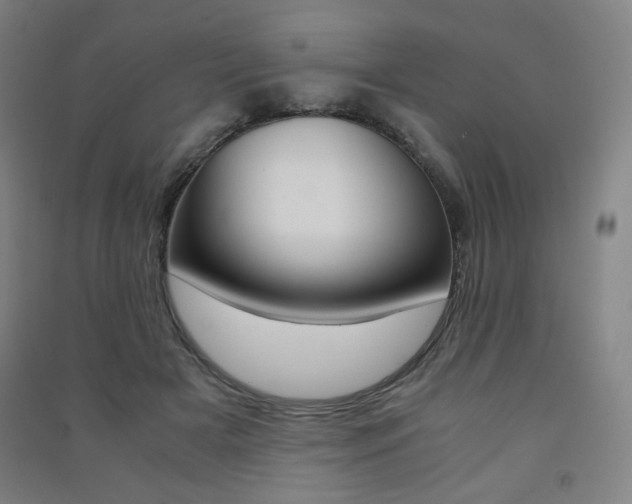 X0000091500505200708161237