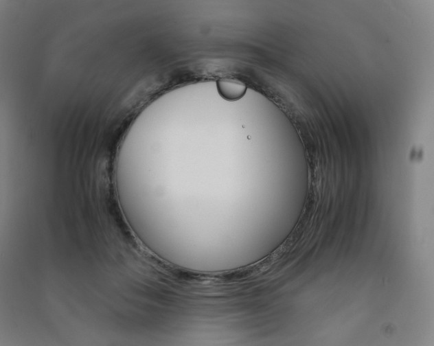 X0000091500506200708161237