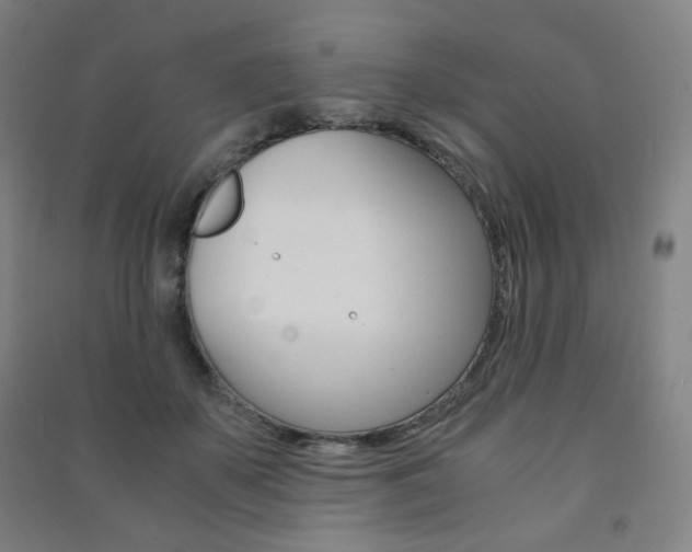 X0000091500507200708161237