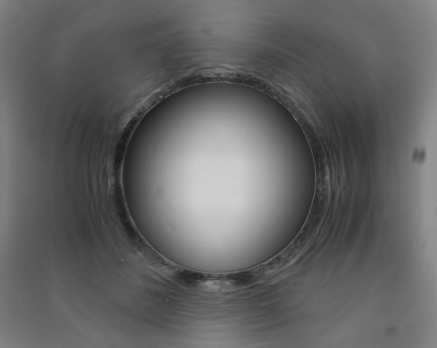 X0000091500508200708161237