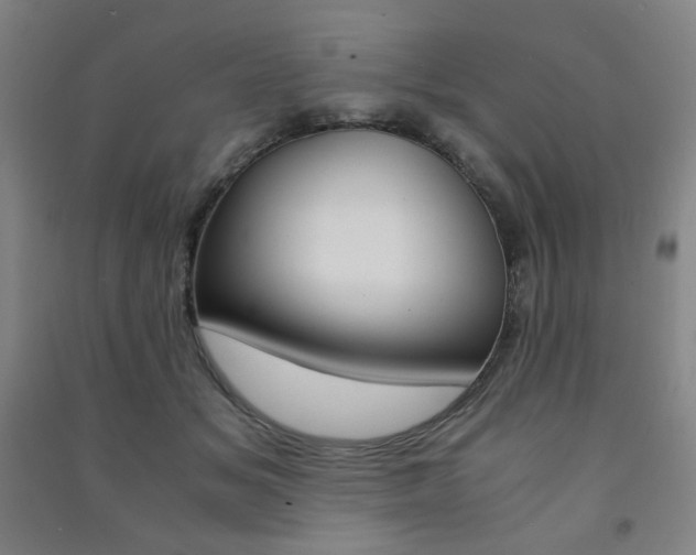 X0000091500509200708161237