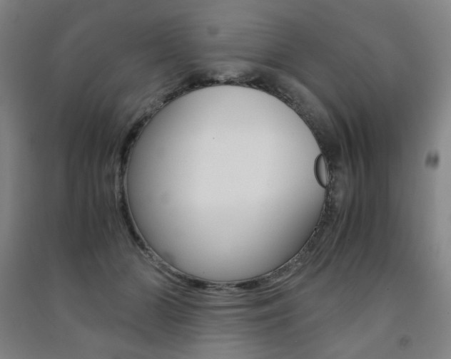 X0000091500510200708161237