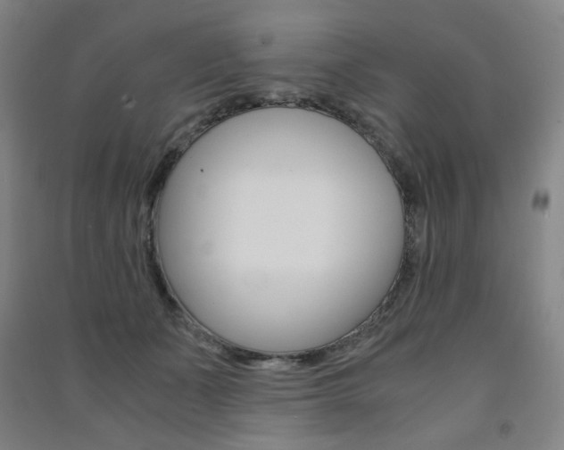 X0000091500511200708161237